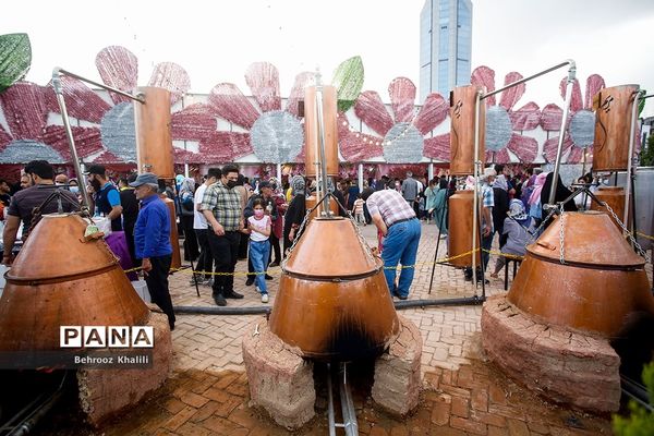 جشنواره گل و گلاب در بوستان آب و آتش