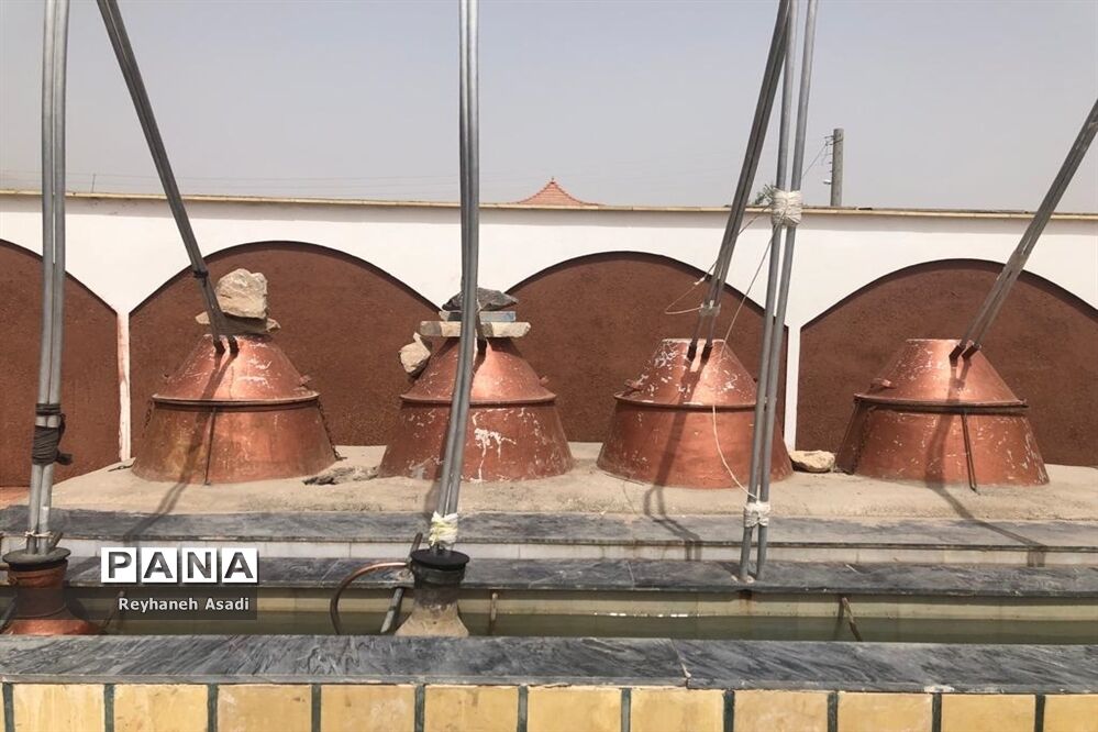 برگزاری مراسم گلاب گیری در کاشان