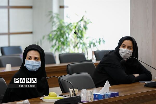 بیستمین سالگرد تاسیس خبرگزاری پانا