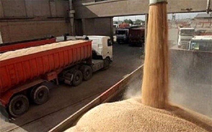 افزایش 59 درصدی جابه‌جایی گندم درون و برون‌استانی
