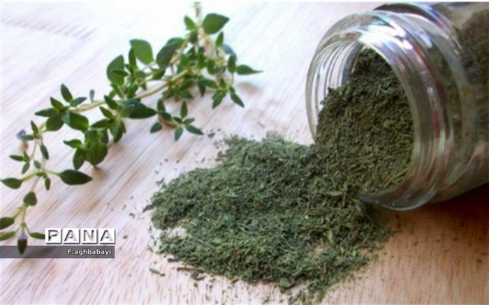 خواص معجزه‌آسای آویشن