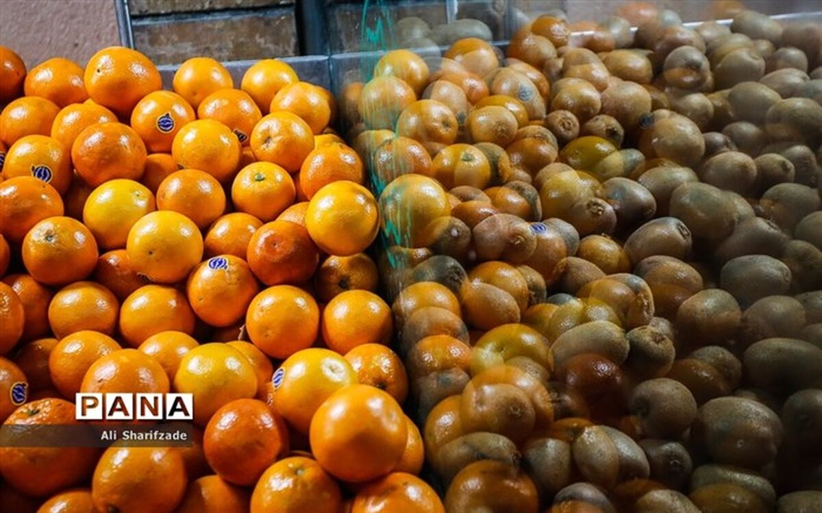 آغاز فروش آنلاین میادین میوه و تره‌بار از نیمه دوم امسال