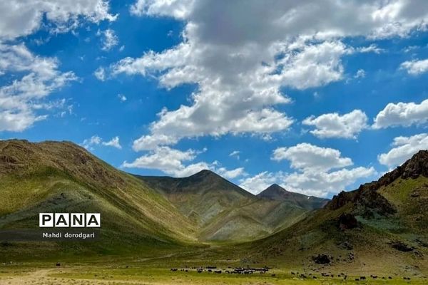 اردوی هیات دوچرخه‌سواری رودهن در طبیعت زیبای شهرستان فیروزکوه