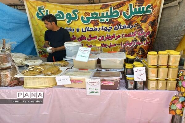 گلابگیری درمنطقه نیاسرشهرستان کاشان