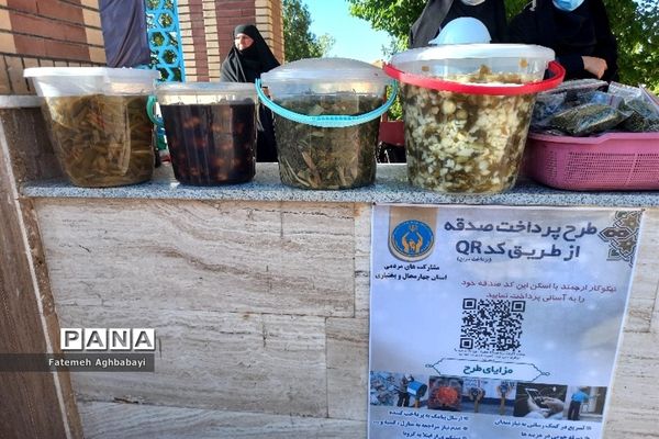 همایش پیاده‌روی امام رضایی‌ها در شهرکرد