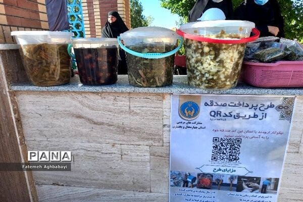 همایش پیاده‌روی امام رضایی‌ها در شهرکرد