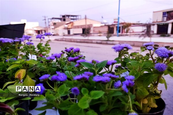 کاروان عزاداری حامی غریب به مناسبت شهادت حضرت فاطمه زهرا(س) در امیدیه