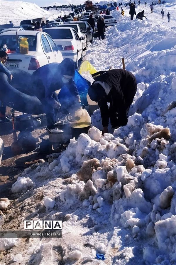 سپیدان سپیدپوش شد