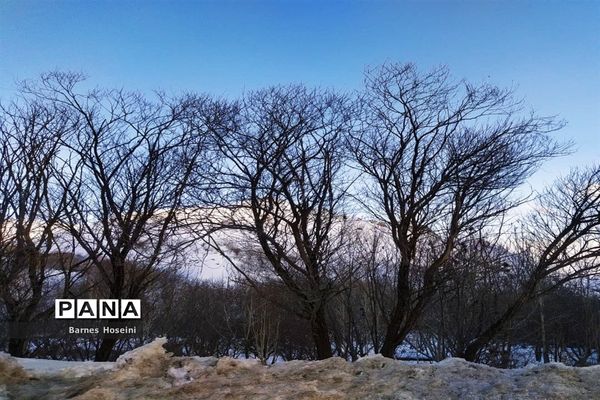 سپیدان سپیدپوش شد