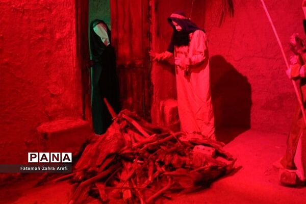 برپایی نمایشگاه  «یاس کبود« در زابل
