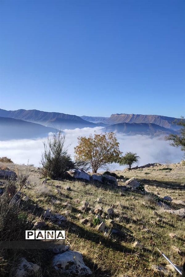 صعودگروه کوهنوردی کوهیاران مسجدسلیمان به کوه کمرو