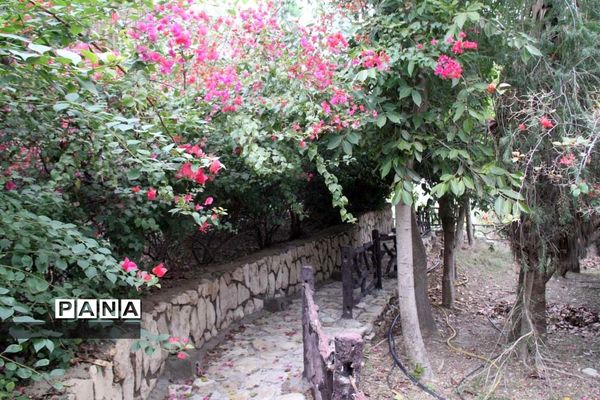 طبیعت زیبای بهبهان