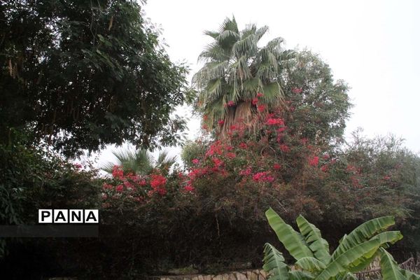 طبیعت زیبای بهبهان