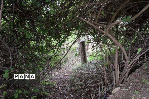 طبیعت زیبای بهبهان