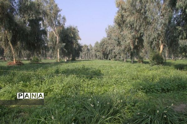 طبیعت زیبای بهبهان