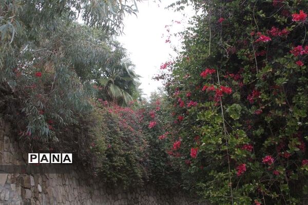 طبیعت زیبای بهبهان