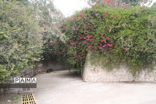 طبیعت زیبای بهبهان