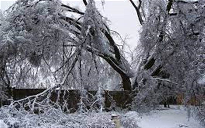 برف و کولاک قزوین را فرامی‌گیرد