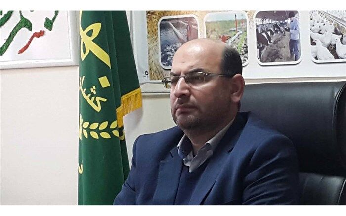 شبکه تعاون روستایی نیازمند نوآوری و خلاقیت است