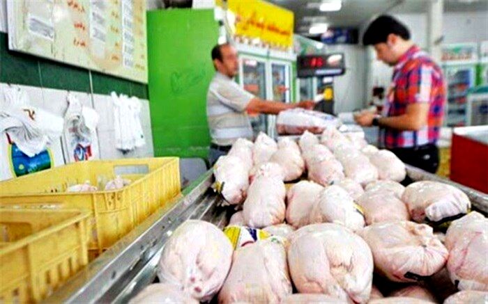 وجود انگل توکسو پلاسما در طیور و ماکیان کشور صحت ندارد