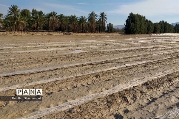 بیرم، ده روز پس از سیل