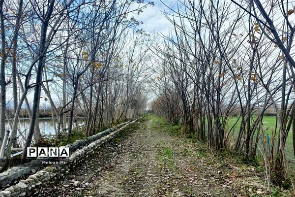 جلسه روسای ادارات دانش‌آموزی شهرستان‌های گلستان
