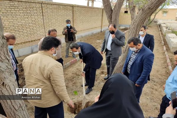 آیین کاشت نهال در بندر امام خمینی