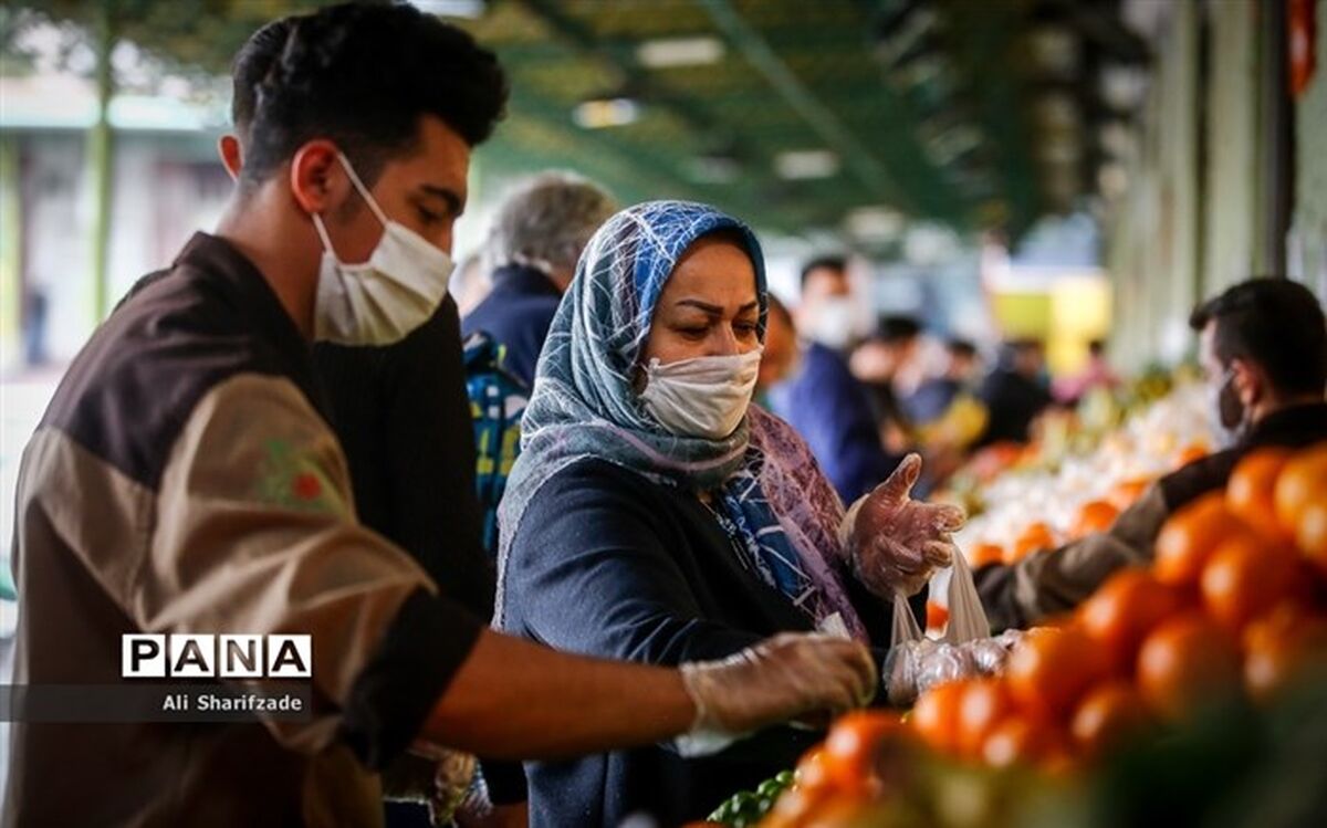 نورانی: هیچ نگرانی برای تامین میوه  شب عید نداریم