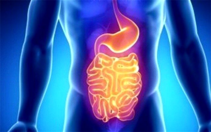 کدام ویتامین از سرطان روده پیشگیری می‌کند؟