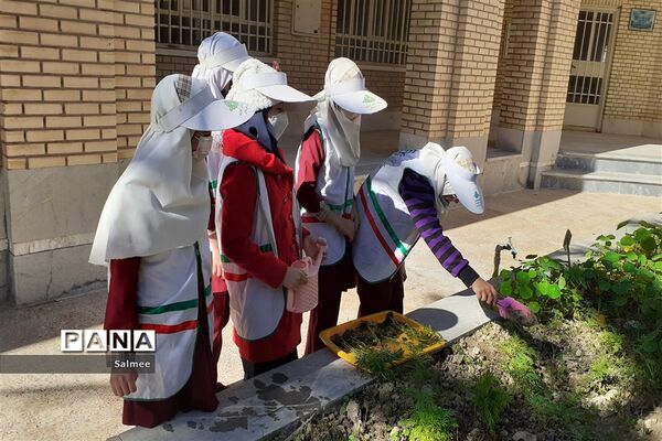 آیین  گرامیداشت روز  ملی هوای پاک در شادگان