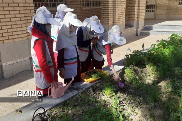 آیین  گرامیداشت روز  ملی هوای پاک در شادگان