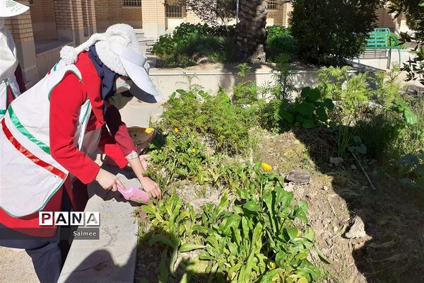 آیین  گرامیداشت روز  ملی هوای پاک در شادگان