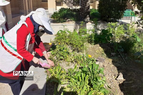 آیین  گرامیداشت روز  ملی هوای پاک در شادگان