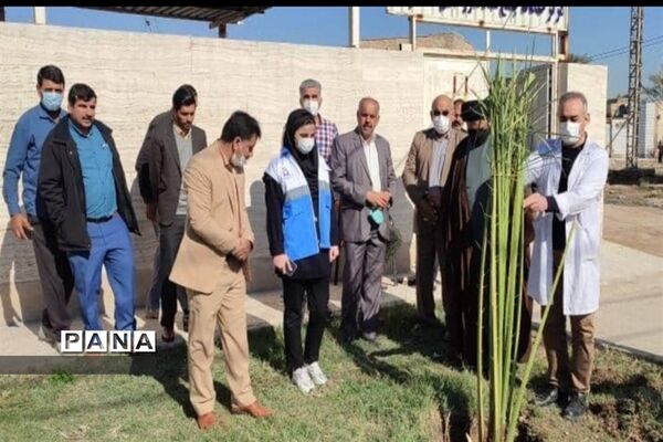 آیین نهال کاری توسط مدافعان سلامت در شهرستان کارون