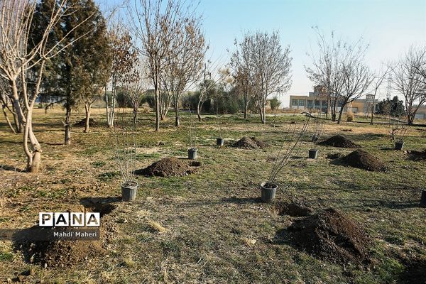 مراسم درختکاری در پارک پردیسان