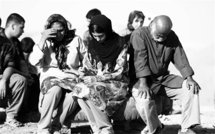 جایزه صلح نروژی به «دشت خاموش» رسید