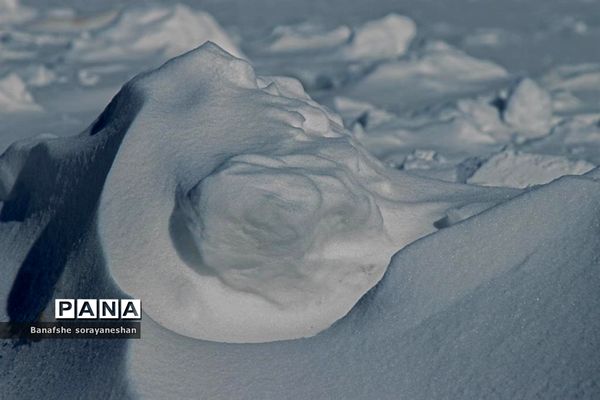 یک روز برفی در پیست اسکی سپیدان