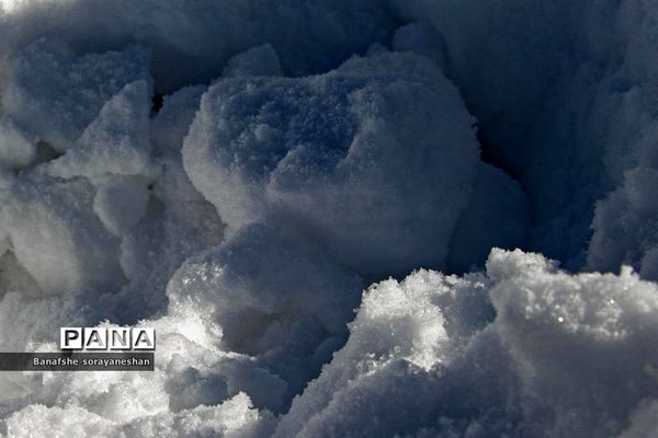 یک روز برفی در پیست اسکی سپیدان