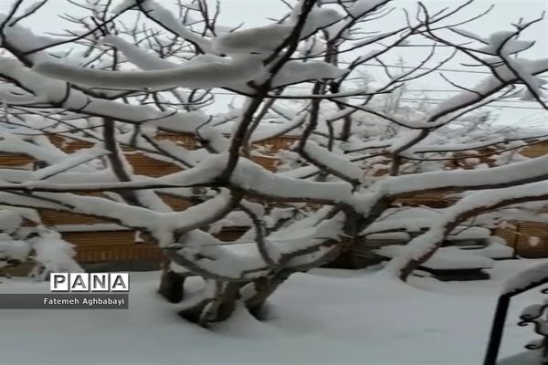 روز دل انگیز برفی درمنظریه شهرکرد