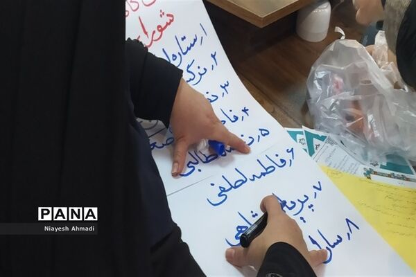 انتخابات مجلس دانش‌آموزی دختران ناحیه 3 مشهد مقدس