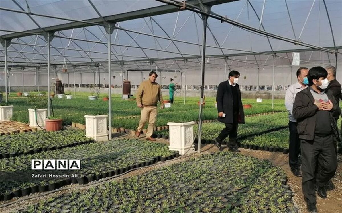 آشنایی با روش‌های تولید گل و گیاه توسط شهرداری به دانش‌آموزان شیروانی