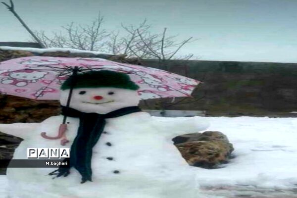 بارش برف بهانه‌ای برای برگشت آدم برفی ها