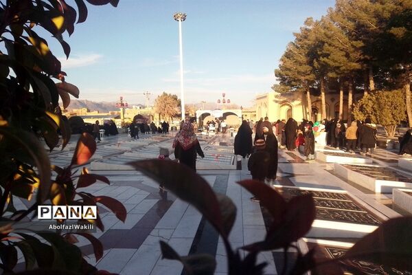 مهمانی لاله‌ها در  زیارتگاه شهید مدرس کاشمر