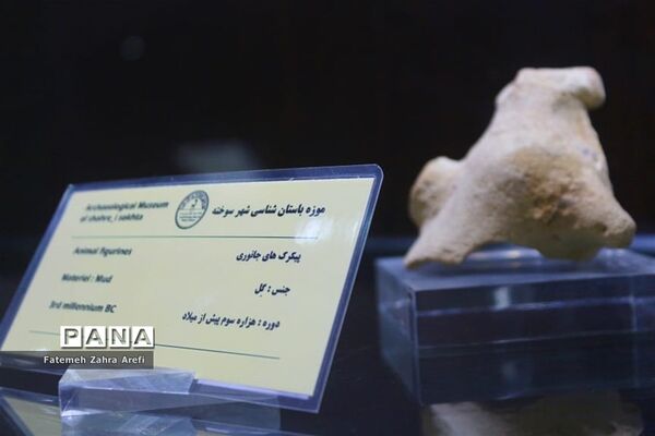 نظاره تمدنی ۵ هزار ساله در موزه شهر سوخته
