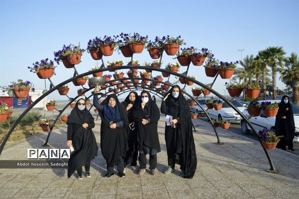 همایش پیاده‌روی همکاران فرهنگی در بوشهر