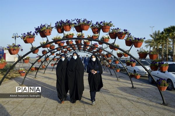 همایش پیاده‌روی همکاران فرهنگی در بوشهر