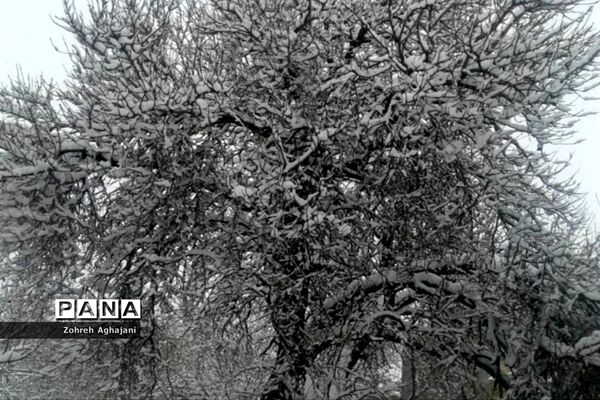 طبیعت برفی و هوای پاک در روستای بیدهند قم