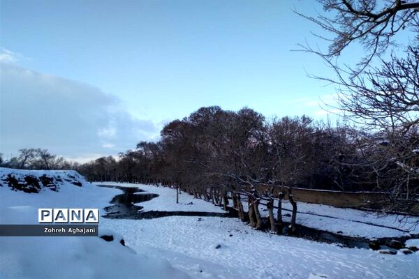 طبیعت برفی و هوای پاک در روستای بیدهند قم