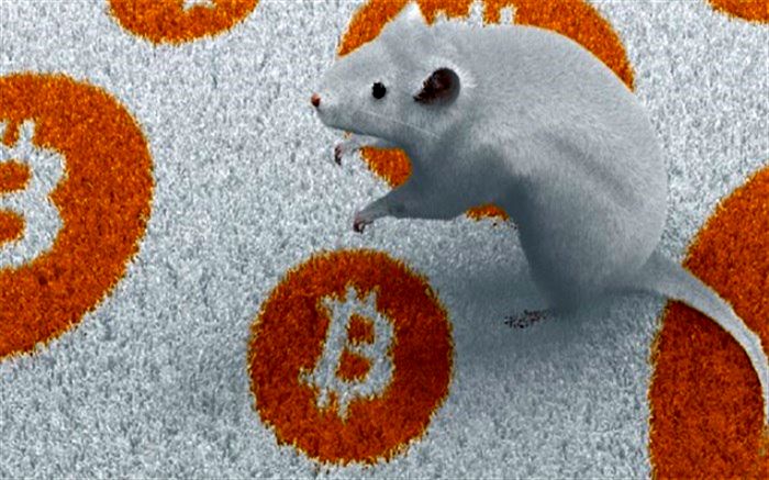 تزریق بیت‌کوین به  موش!