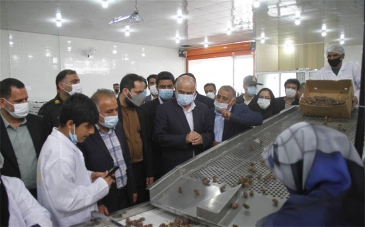 کارخانه بسته‌بندی خرما و سردخانه محصولات کشاورزی در آب پخش دشتستان افتتاح شد